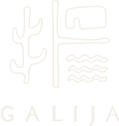 Galija